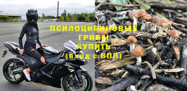 ешки Балахна