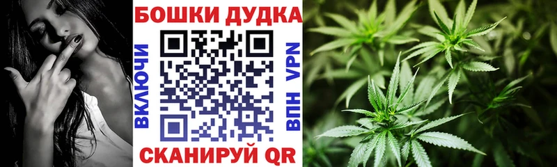 где купить наркоту Ветлуга Конопля тримм